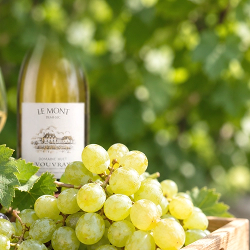 CHENIN BLANC